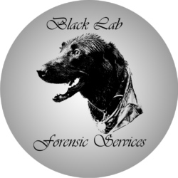 Black Lab Forensic Services